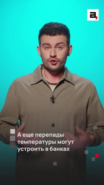 Соленья в подвале могут стоить россиянам нескольких тысяч рублей смотреть онлайн