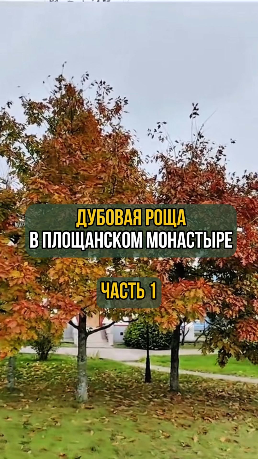 Дубовая роща в Площанском монастыре. Часть 1