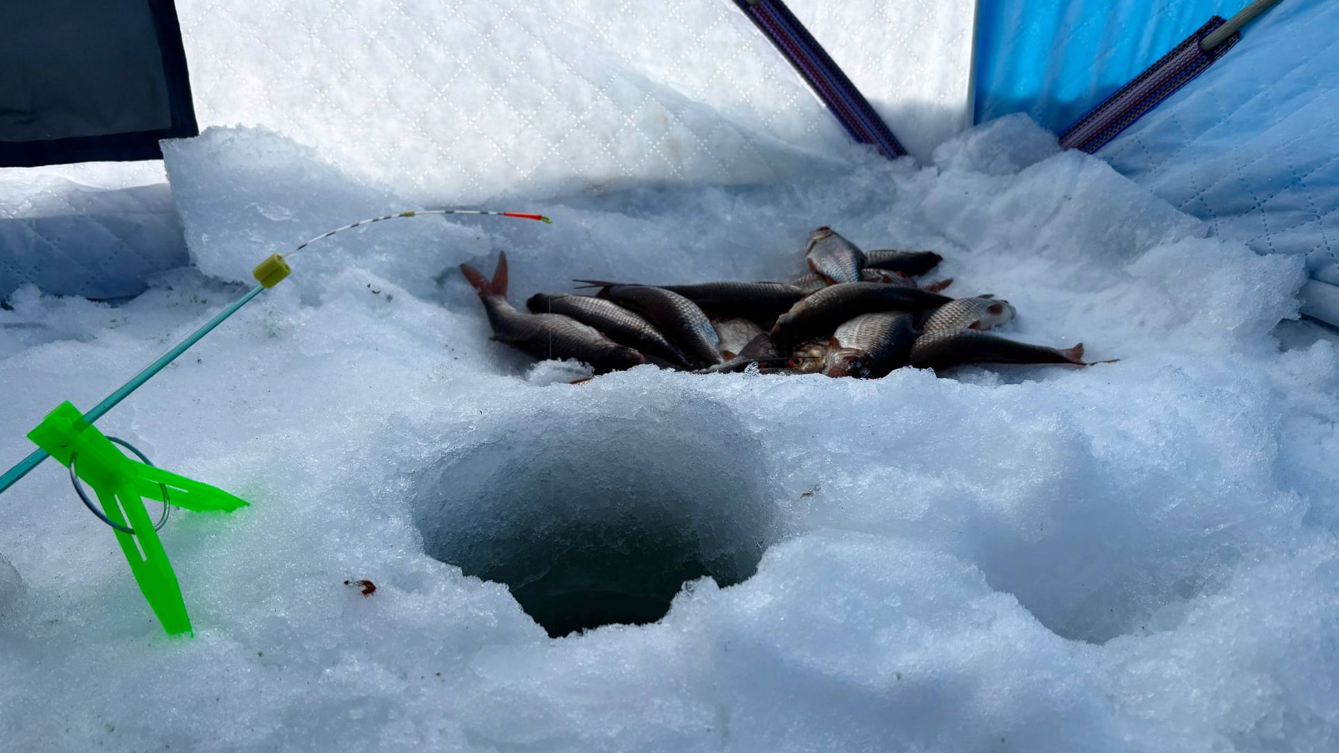 Рыбалка в -26. ДЕЛИКАТНАЯ СНАСТЬ СРАБОТАЛА!