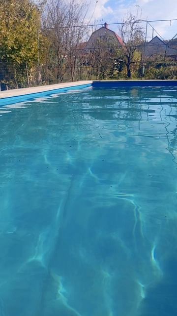 1000083566.mp4 смотреть онлайн