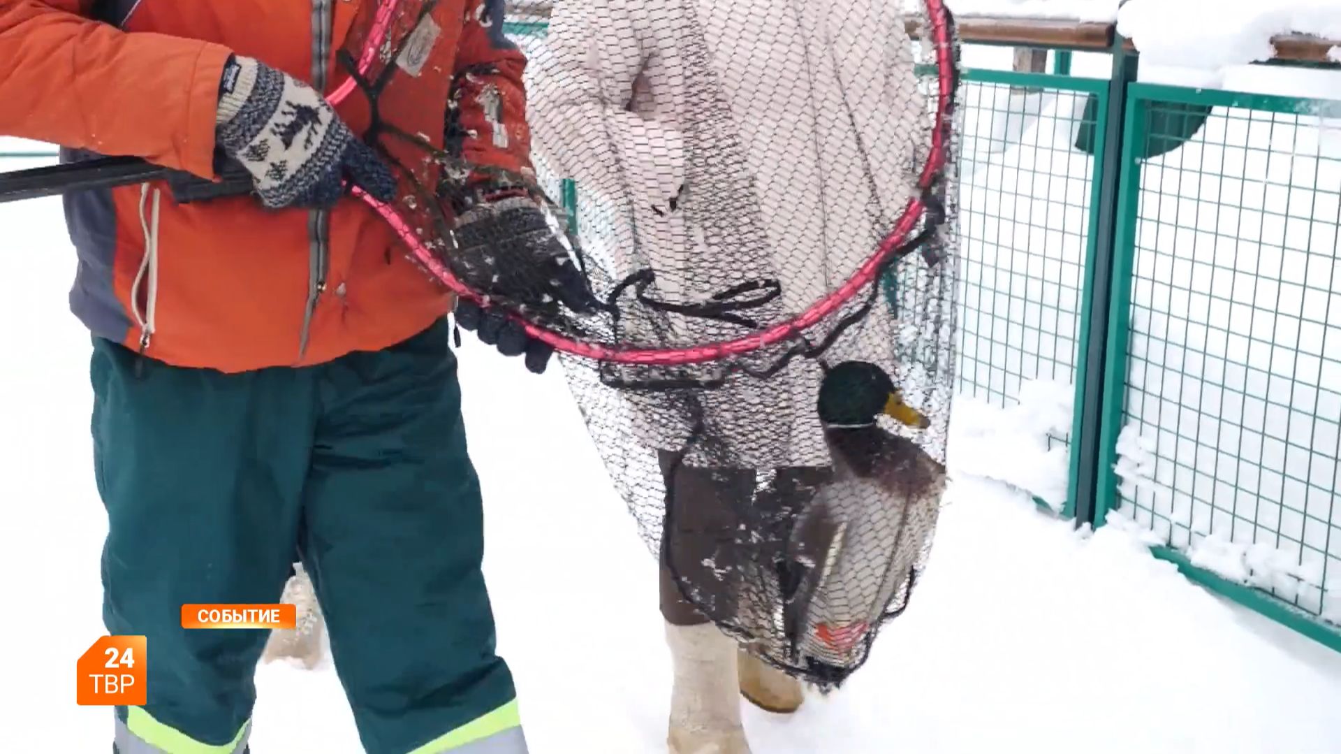 Операция «Селезень» смотреть онлайн