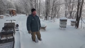 5 тонн мёда с дикоросов, вкусная пыльца и арендный бизнес. Тверской пчеловод Евгений Архипов