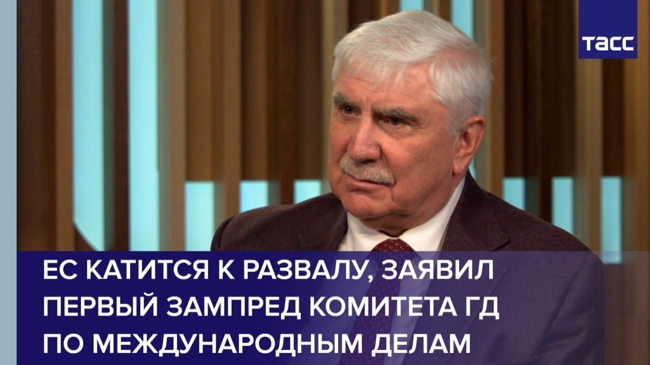 ЕС катится к развалу, заявил первый зампред комитета ГД  по международным делам