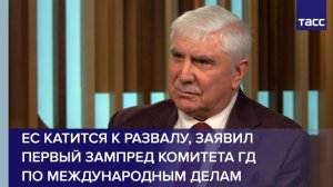 ЕС катится к развалу, заявил первый зампред комитета ГД  по международным делам