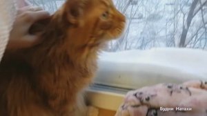 Морозно! Дома снег! Как отлечить порядочного мужчину зимой!