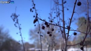 Зимушка-зима