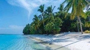 О, дивная - Венеция!  Премьера!  Вера Гарт