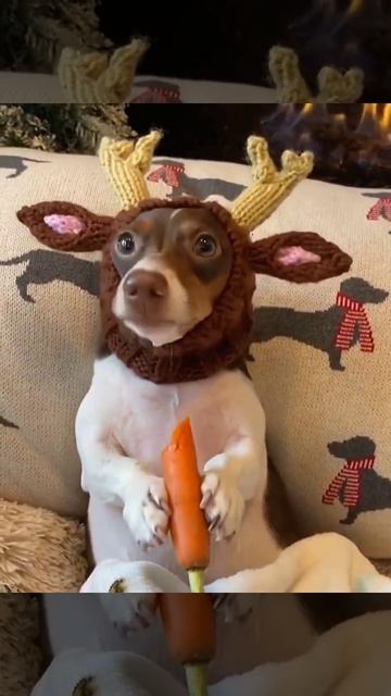 Доброе утро 😂 смотреть онлайн