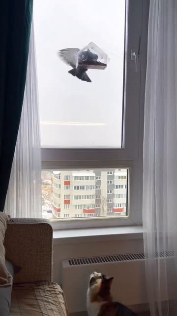 Сбой матрицы птичка смотреть онлайн