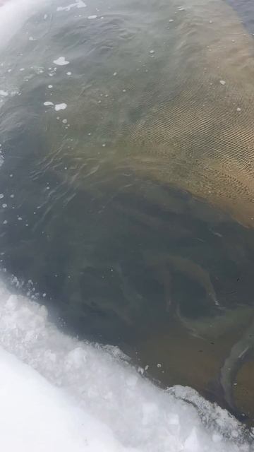 06-02-2026 смотреть онлайн