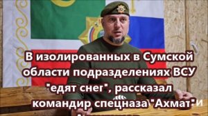 В изолированных в Сумской области подразделениях ВСУ "едят снег" - Алаудинов