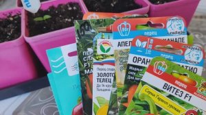 Какие  семена перца буду сажать в новый сезон 2026.Перцы для фотоссесии,для заморозки, фаршированные