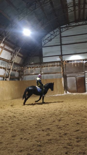 Алексей и Рокас Вэлл, галоп по стенке в манеже.