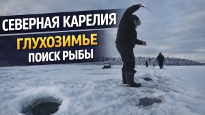 Карелия. Поиск окуня и щуки в глухозимье. Красивая природа севера. Зимняя рыбалка 2026 . День 2.