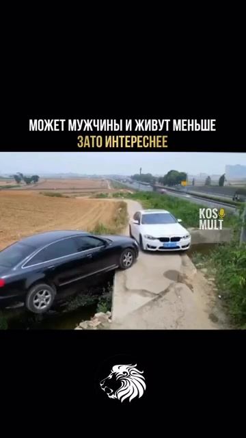 ПРЕКЛАНЯЮСЬ перед таким водителем