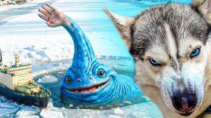 ФИНАЛЬНАЯ БИТВА с HAND SEA MONSTER! Полный фильм! Хаски Бандит Говорящая собака