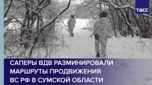 Саперы ВДВ разминировали маршруты продвижения ВС РФ в Сумской области