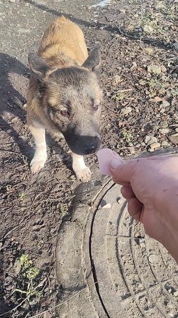 Привет, Серёга!