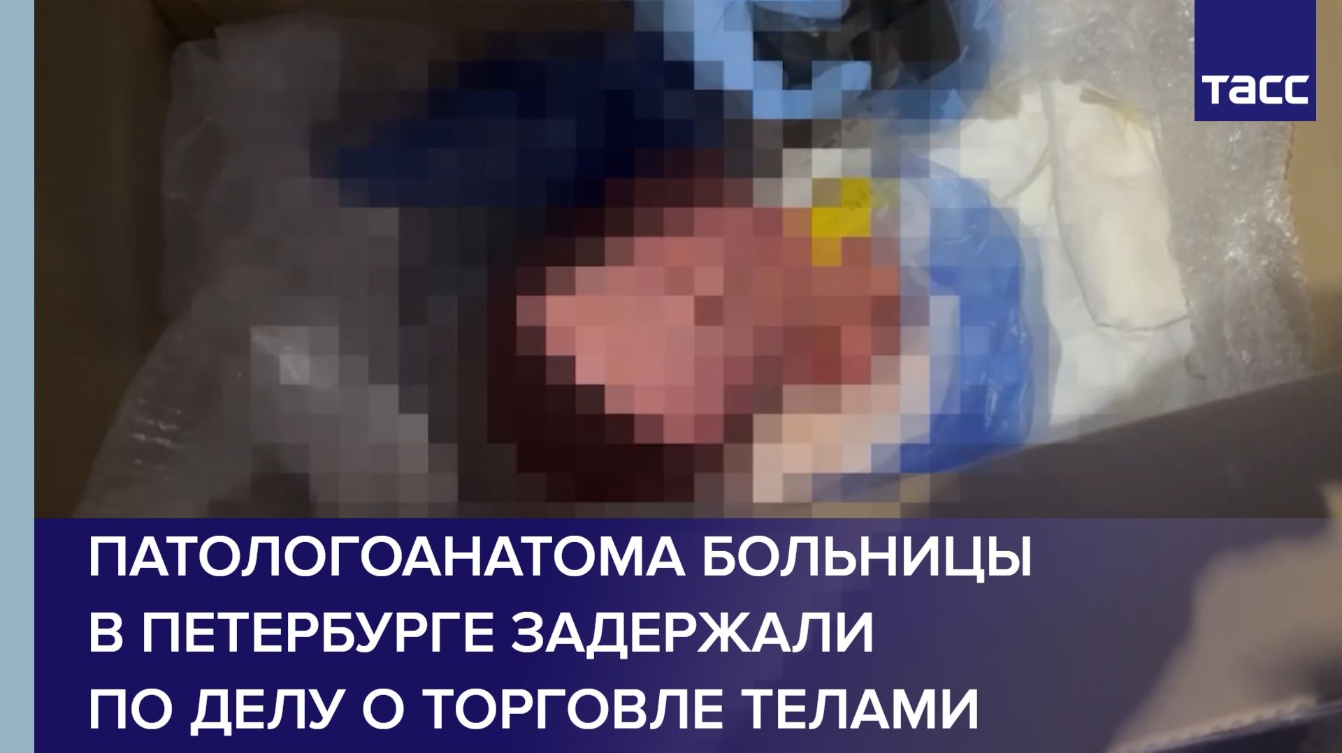 Патологоанатома больницы в Петербурге задержали по делу о торговле телами смотреть онлайн