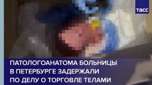 Патологоанатома больницы в Петербурге задержали по делу о торговле телами