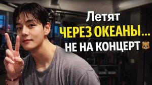 Тэхён создал пространство, ради которого летят через океаны 🌍🐻