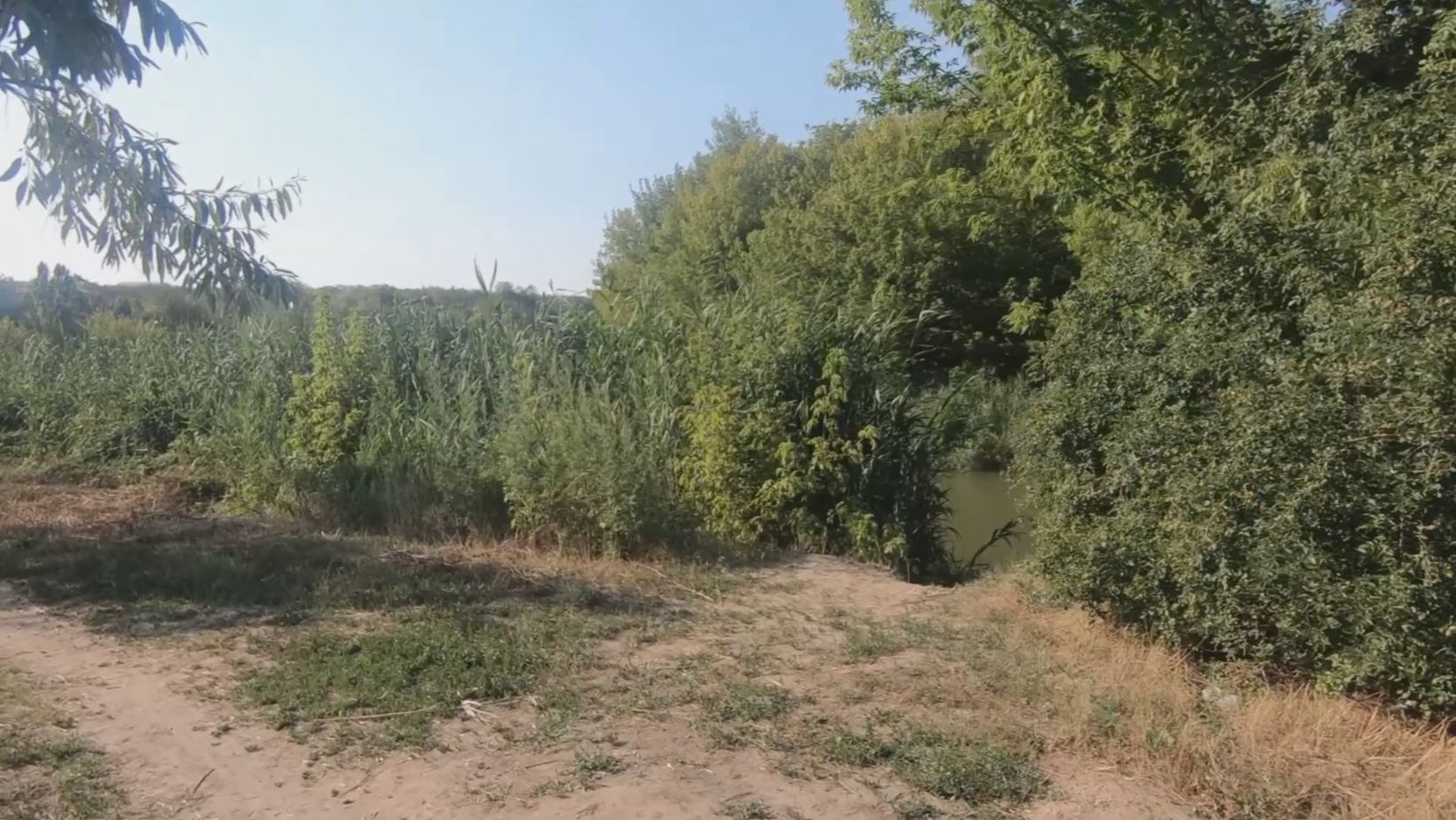 Поход 5 июля 2025 г. смотреть онлайн