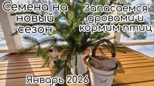 Семена на новый сезон. Запасаемся дровами и кормим птиц. Январь 2026