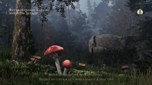 Немного войны миров 🌍