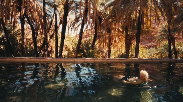 traveller, not a tourist смотреть онлайн