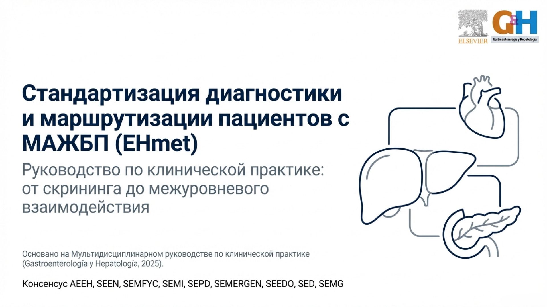 Новый алгоритм выявления скрытого фиброза печени. Испания 23.01.2026