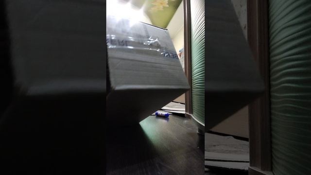 1000000844.mp4 смотреть онлайн