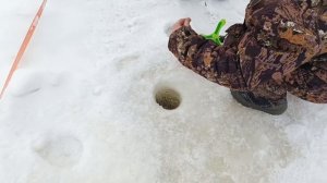 VID_20260206_145125_424