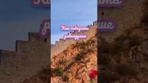 VID_20260206_061150_670.mp4