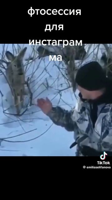 Не чего не боится 😂🤣