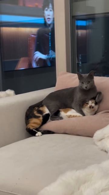 Другова места не нашлось присесть, да?🙄