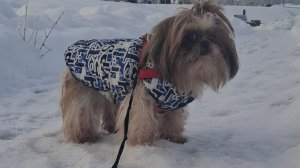 Ноги🦶🤫🤣