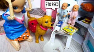 ЭТО ОН! МЫ НЕ ВИНОВАТЫ! 😁😜🐶 Настя и Рома веселая семейка! Куклы Барби мультик Даринелка