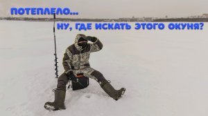 Пытаемся найти и расшевелить окуня в феврале. Открытие сезона в Глухозимье