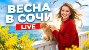 В СОЧИ пришла весна! Прямой эфир!#сочи #всеосочи
