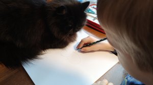 февраль 2026❄️/ портрет семьи❤️/ "попросили" из школы😨/новое "чтиво" и тетради для ребенка с ОНР👍