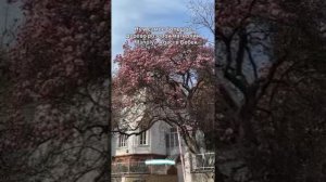 YouCut_20260206_233507552.mp4