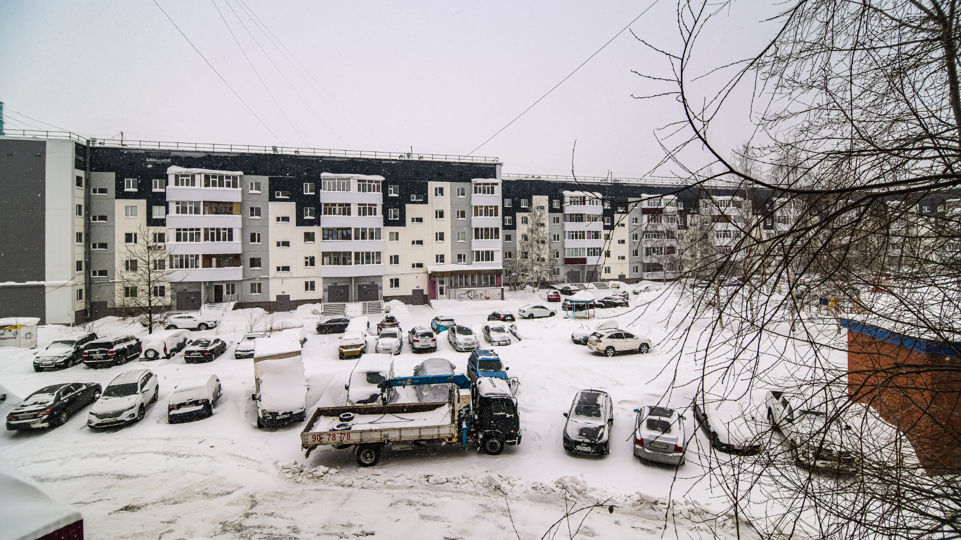 11317393 Бажова 31