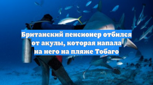 Британский пенсионер отбился от акулы, которая напала на него на пляже Тобаго