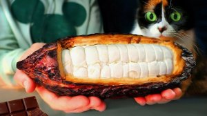 Я СДЕЛАЛ ШОКОЛАД С НУЛЯ