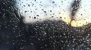 Последние Слова Отца Никто Не Удержал Слёз