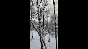 Мой вопрос к вам и расскажу немного о планах на сегодня и на завтра, про рутуб и темы публикаций