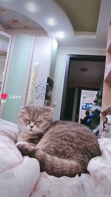 1000000836.mp4 смотреть онлайн