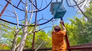 Влад обустраивает летний вольер для Жорика!