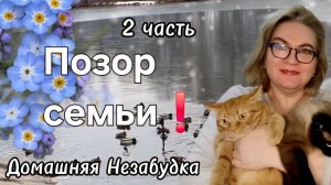 2 часть. Позор семьи❗️