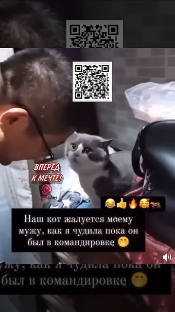 Кот😂 жалуется на жену